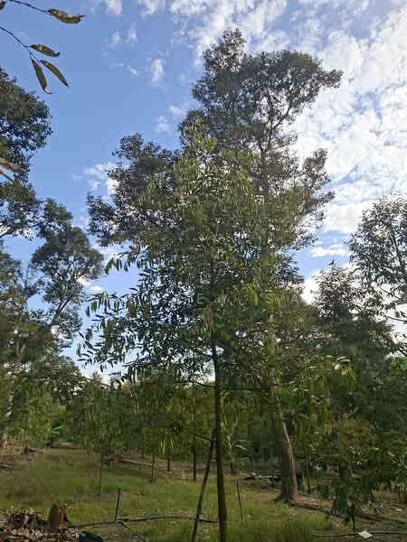 Kampung Jambu Rias untuk Untuk Dijual - RM 1,805,760, Mac 2026 - PropertyGuru.com.my