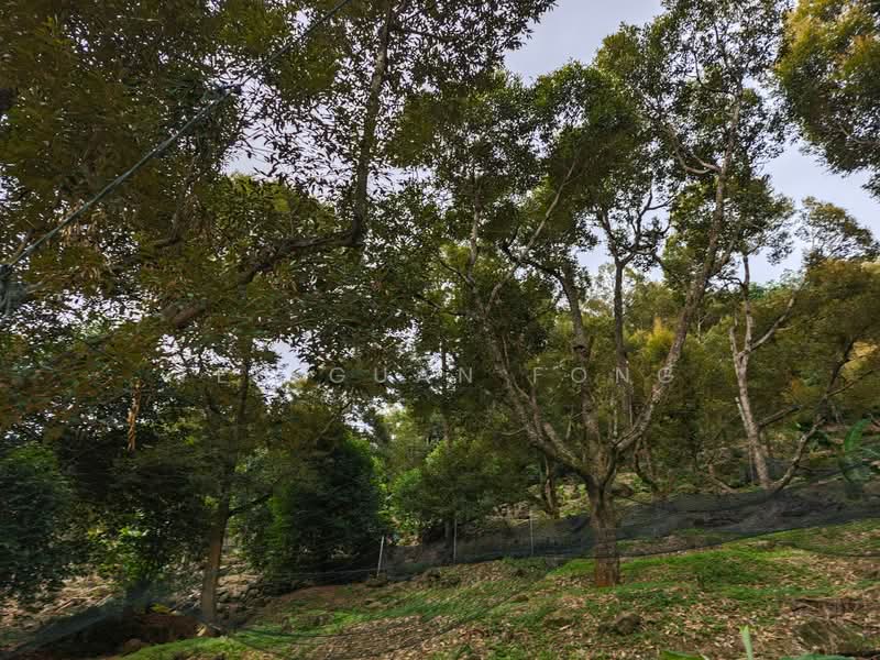 Agricultural Land for Sale in Balik Pulau (Penang) - Teh Guan Fong - Exterior - PropertyGuru.com.my