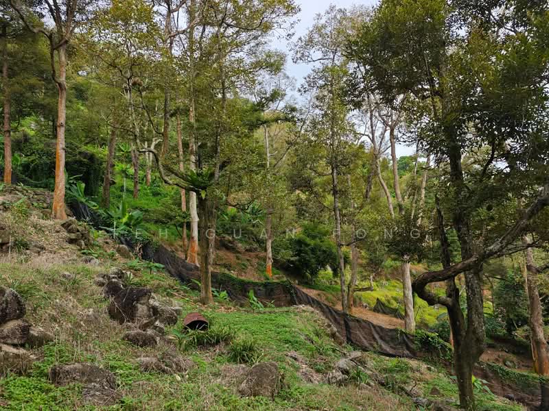 Agricultural Land for Sale in Balik Pulau (Penang) - Teh Guan Fong - Exterior - PropertyGuru.com.my