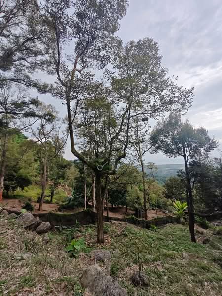 Agricultural Land for Sale in Balik Pulau (Penang) - Teh Guan Fong - Exterior - PropertyGuru.com.my