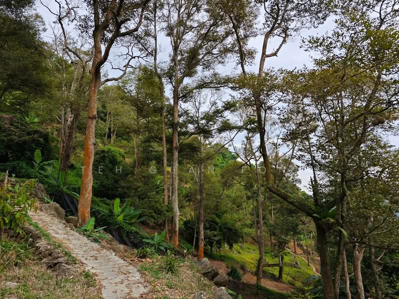 Agricultural Land for Sale in Balik Pulau (Penang) - Teh Guan Fong - Exterior - PropertyGuru.com.my