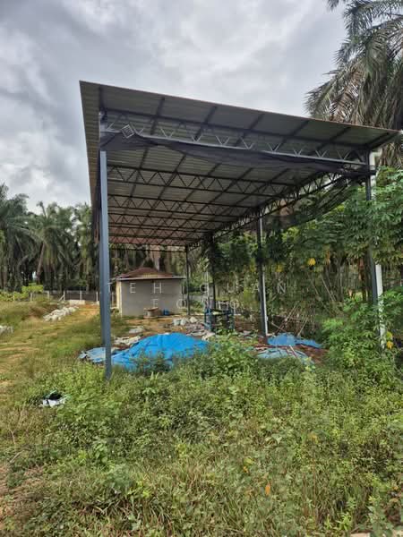 Tanah Pertanian untuk Dijual di Bandar Baharu (Kedah) - Teh Guan Fong - Exterior - PropertyGuru.com.my