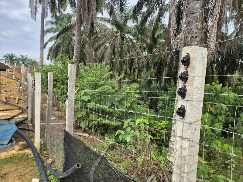 Tanah Pertanian untuk Dijual di Bandar Baharu (Kedah) - Teh Guan Fong - Exterior - PropertyGuru.com.my