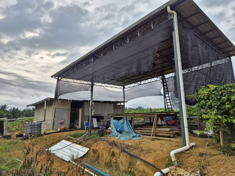 Tanah Pertanian untuk Dijual di Bandar Baharu (Kedah) - Teh Guan Fong - Exterior - PropertyGuru.com.my