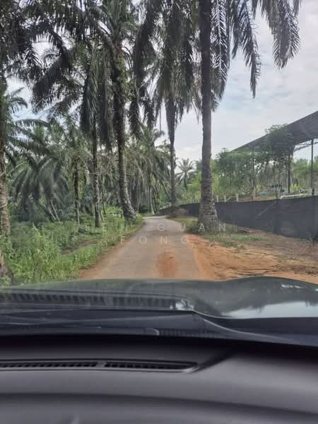 Tanah Pertanian untuk Dijual di Bandar Baharu (Kedah) - Teh Guan Fong - Exterior - PropertyGuru.com.my