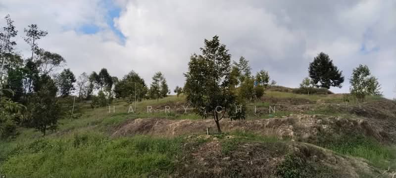 6.25 Acre Durian Farm, Simpang Pelangai (normal car can entry) untuk Untuk Dijual - RM 1,080,000, Mac 2026 - Exterior - PropertyGuru.com.my