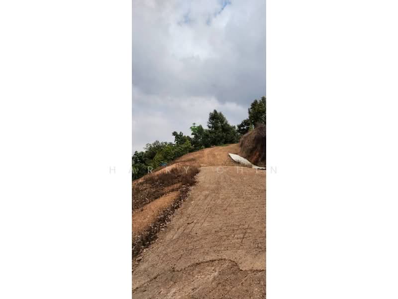 6.25 Acre Durian Farm, Simpang Pelangai (normal car can entry) untuk Untuk Dijual - RM 1,080,000, Mac 2026 - Exterior - PropertyGuru.com.my