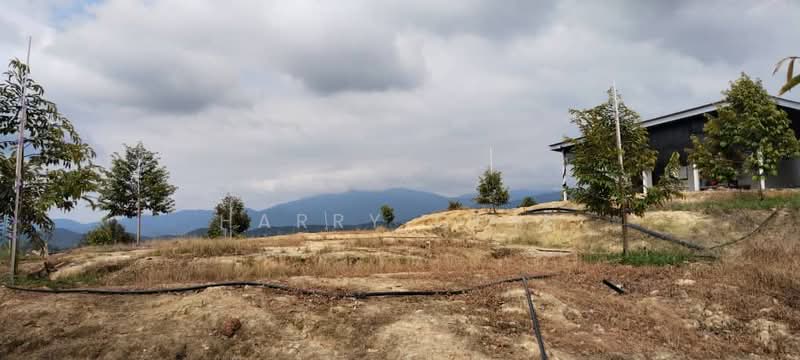 6.25 Acre Durian Farm, Simpang Pelangai (normal car can entry) untuk Untuk Dijual - RM 1,080,000, Mac 2026 - Exterior - PropertyGuru.com.my