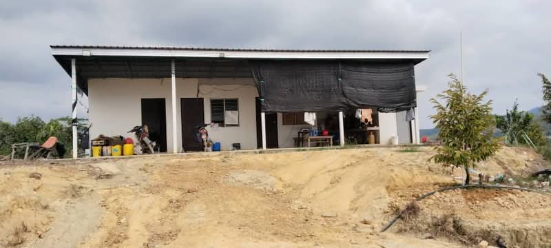 6.25 Acre Durian Farm, Simpang Pelangai (normal car can entry) untuk Untuk Dijual - RM 1,080,000, Mac 2026 - Exterior - PropertyGuru.com.my