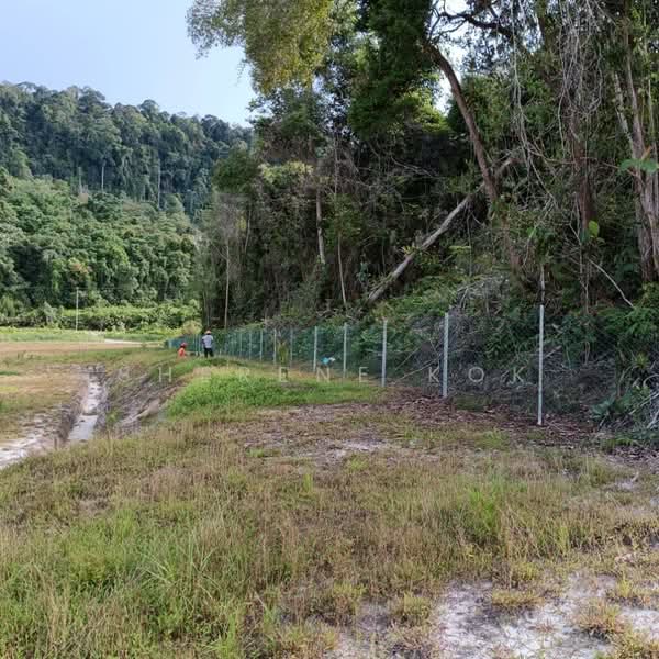 Agricultural Land for Sale in Matang (Kuching) - Sherene Kok - Exterior - PropertyGuru.com.my