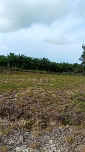 Agricultural Land for Sale in Matang (Kuching) - Sherene Kok - Exterior - PropertyGuru.com.my