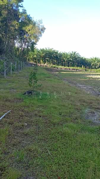 Agricultural Land for Sale in Matang (Kuching) - Sherene Kok - Exterior - PropertyGuru.com.my
