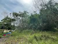 For Sale - Kampung Nyior, Paka