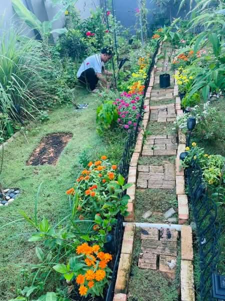 2-storey Terraced House for Rent in Kepong (Kuala Lumpur) - Ken Phang - Garden - PropertyGuru.com.my