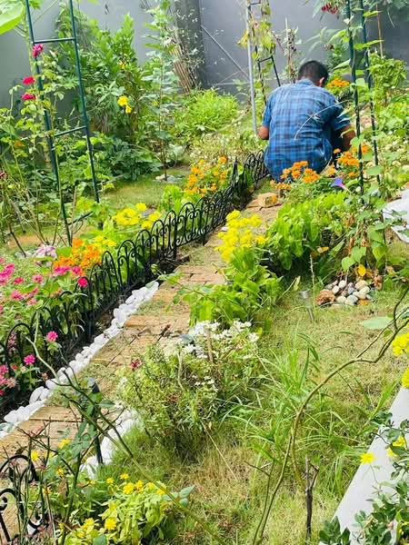 2-storey Terraced House for Rent in Kepong (Kuala Lumpur) - Ken Phang - Garden - PropertyGuru.com.my