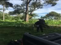 For Sale - Midlands City