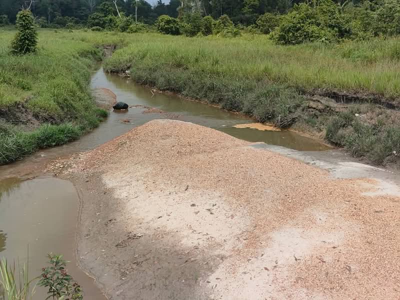 Untuk Disewa - Desaru 95 acres for rent