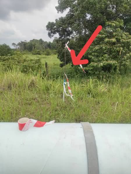 Untuk Disewa - Desaru 95 acres for rent