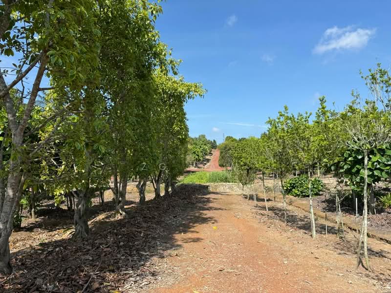 Agricultural Land for Sale in Yong Peng (Johor) - ZG Law - Exterior - PropertyGuru.com.my