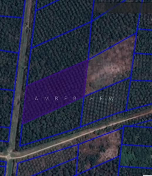 Agricultural Land for Sale in Pontian (Johor) - Amber Hew - PropertyGuru.com.my