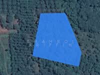 For Sale - Kampung Sulir