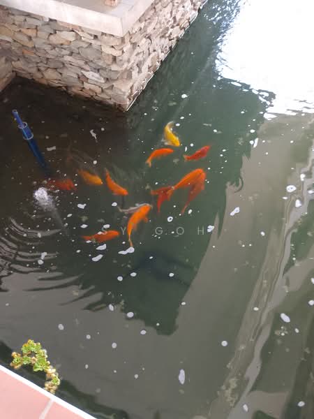 Service Residence for Sale at Windsor Tower - SY Goh - PropertyGuru.com.my