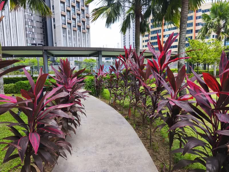 Lumi Tropicana untuk Untuk Disewa - RM 3,800 /bulan, Mac 2026 - Exterior - PropertyGuru.com.my