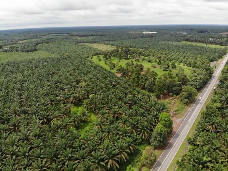 Tanah Komersial untuk Dijual di Yong Peng (Johor) - Celine Chai - Exterior - PropertyGuru.com.my