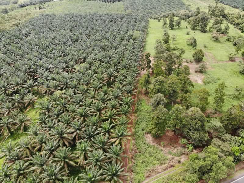 Toll Yong Peng untuk Untuk Dijual - RM 15,500,000, Mac 2026 - Exterior - PropertyGuru.com.my