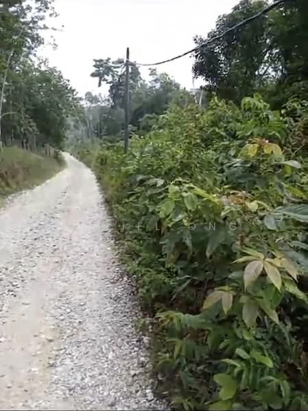 Kampung Pintu Padang untuk Untuk Dijual - RM 1,199,888, Apr 2026 - Exterior - PropertyGuru.com.my