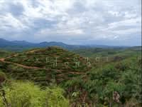 For Sale - Gua Musang