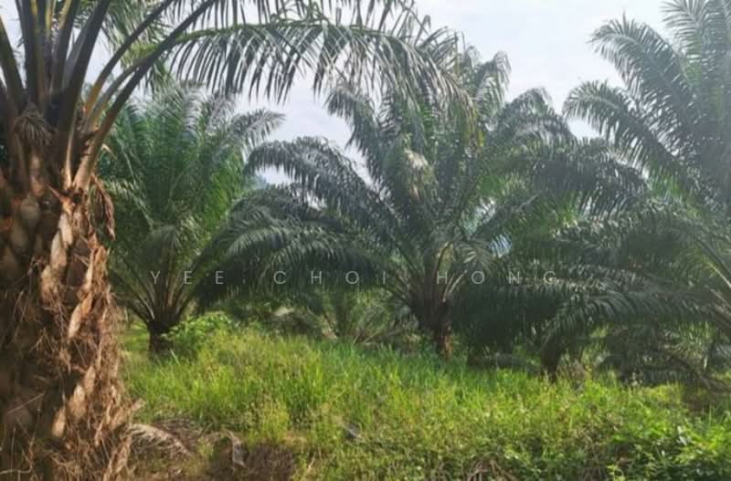 Gua Musang untuk Untuk Dijual - RM 110,000,000, Apr 2026 - Exterior - PropertyGuru.com.my