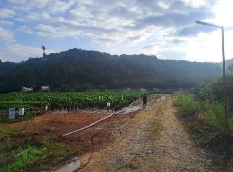 Gua Musang untuk Untuk Dijual - RM 110,000,000, Apr 2026 - Exterior - PropertyGuru.com.my