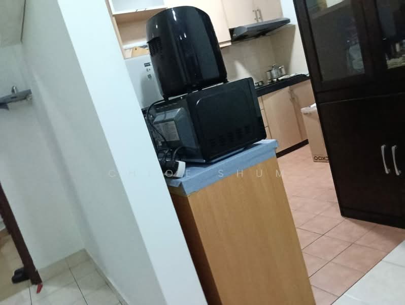 Condominium for Sale at Palm Spring @ Damansara - Chloe Shum - Kitchen - PropertyGuru.com.my