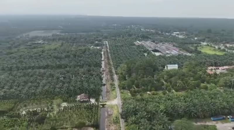 Agricultural Land for Sale in Kampung Pulai Sebatang (Ayer Baloi) - Suzanne Lee - Exterior - PropertyGuru.com.my