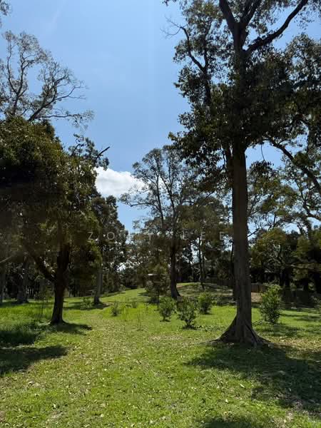 Agricultural Land for Sale in Ayer Hitam (Johor) - Zoey Lee - Garden - PropertyGuru.com.my