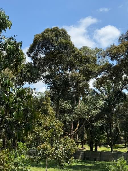 Agricultural Land for Sale in Ayer Hitam (Johor) - Zoey Lee - Exterior - PropertyGuru.com.my