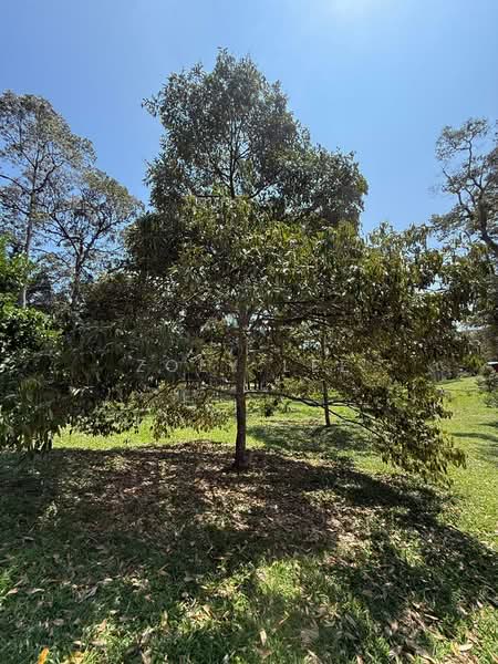 Agricultural Land for Sale in Ayer Hitam (Johor) - Zoey Lee - Garden - PropertyGuru.com.my