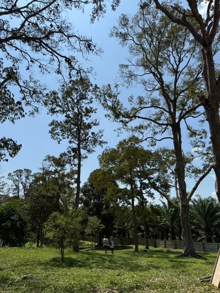 Agricultural Land for Sale in Ayer Hitam (Johor) - Zoey Lee - Exterior - PropertyGuru.com.my