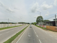 For Sale - Pokok Sena