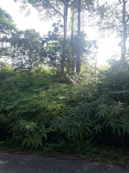 Residential Land for Sale in Kayangan Heights (Shah Alam) - Gary Gan - Exterior - PropertyGuru.com.my