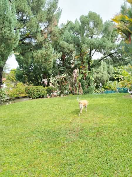 Bungalow for Sale in Taman Bukit Pantai (Bangsar) - Eddy . - PropertyGuru.com.my