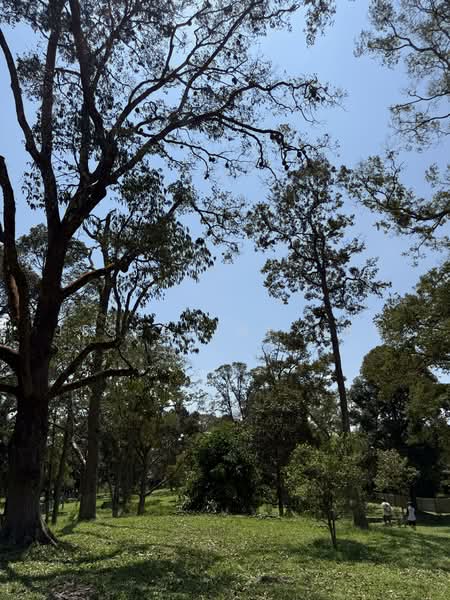 Agricultural Land for Sale in Ayer Hitam (Johor) - Jesserine Neo - Garden - PropertyGuru.com.my