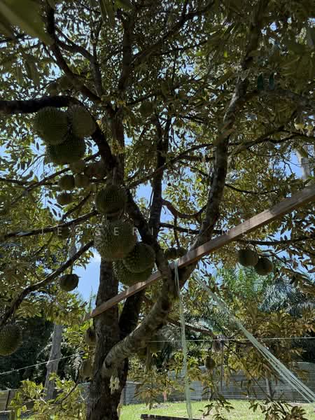 Agricultural Land for Sale in Ayer Hitam (Johor) - Jesserine Neo - Exterior - PropertyGuru.com.my