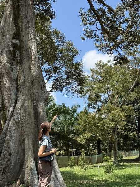 Agricultural Land for Sale in Ayer Hitam (Johor) - Jesserine Neo - Exterior - PropertyGuru.com.my