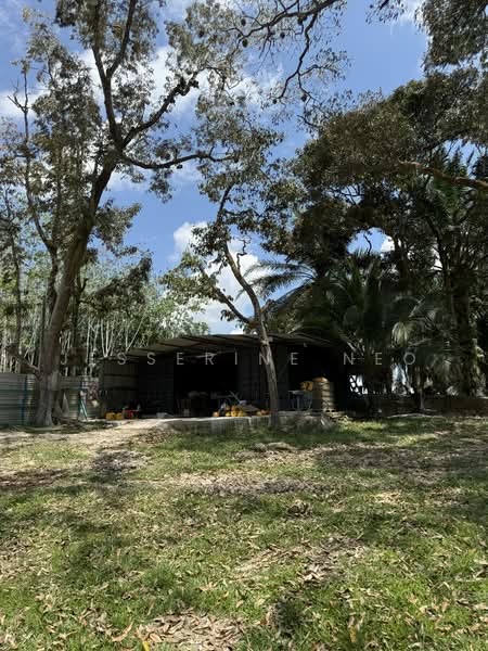 Agricultural Land for Sale in Ayer Hitam (Johor) - Jesserine Neo - PropertyGuru.com.my