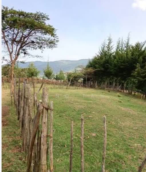 Other Property for Sale in Kuching (Sarawak) - Jeno Tan - PropertyGuru.com.my