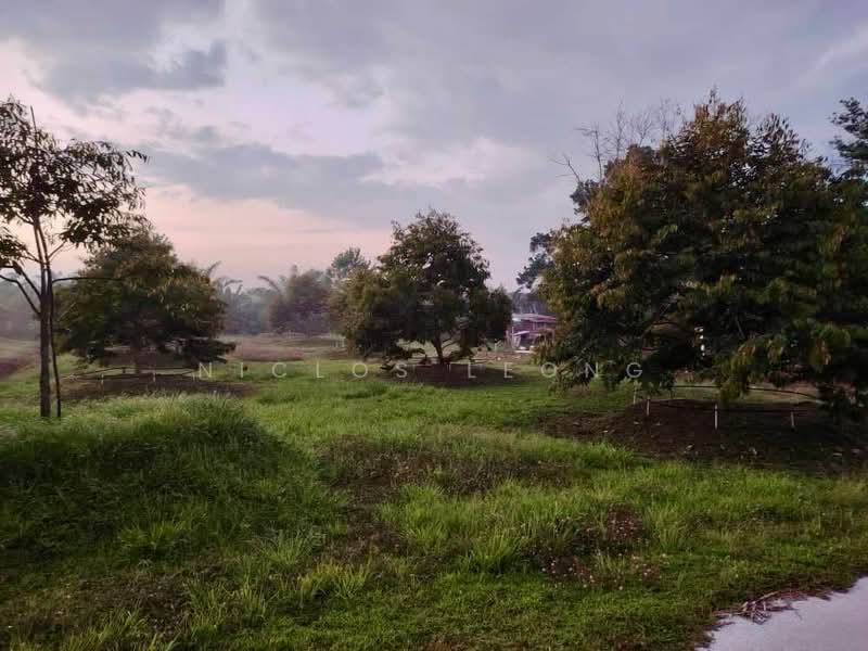 Agricultural Land for Sale in Sitiawan (Perak) - Niclos Leong - Exterior - PropertyGuru.com.my