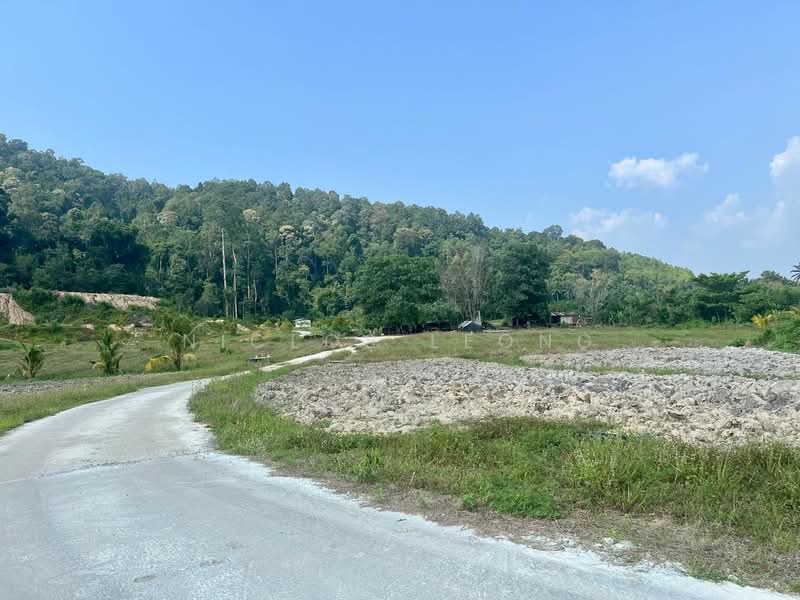 Agricultural Land for Sale in Sitiawan (Perak) - Niclos Leong - Exterior - PropertyGuru.com.my