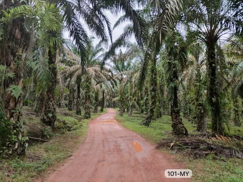 Tanah Pertanian untuk Dijual di Bestari Jaya (Selangor) - Yap Chew Ying - PropertyGuru.com.my